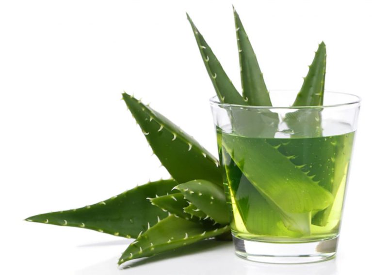 5 Herbs to Keep your Gut Health & Digestion in Check: Aloe Vera