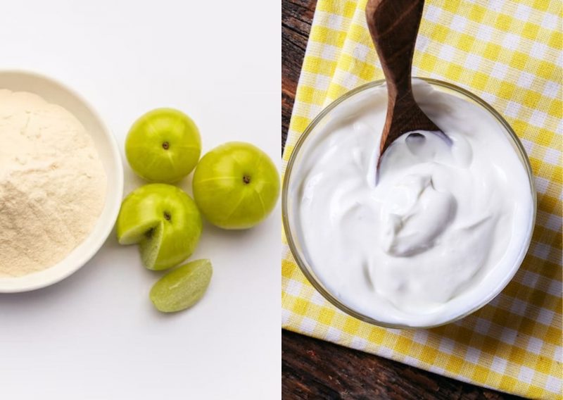 3 Natural Ways to Get Rid of Dandruff in your Hair: Amla Powder with Yoghurt
