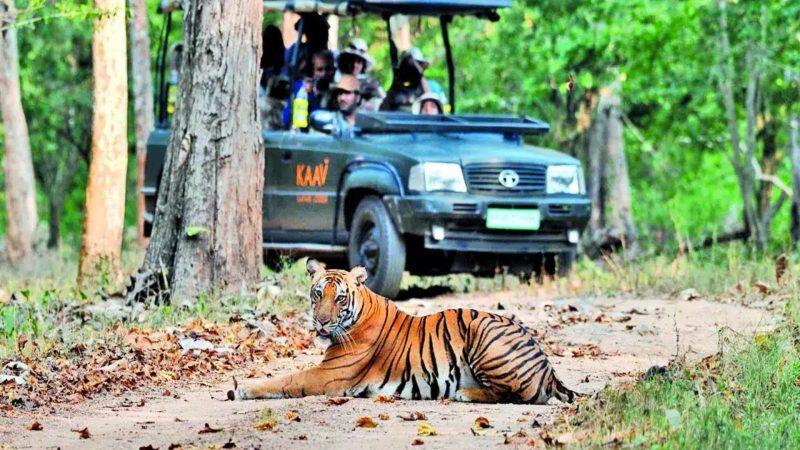 NAGARHOLE NATIONAL PARK Best Places to Visit in February in India