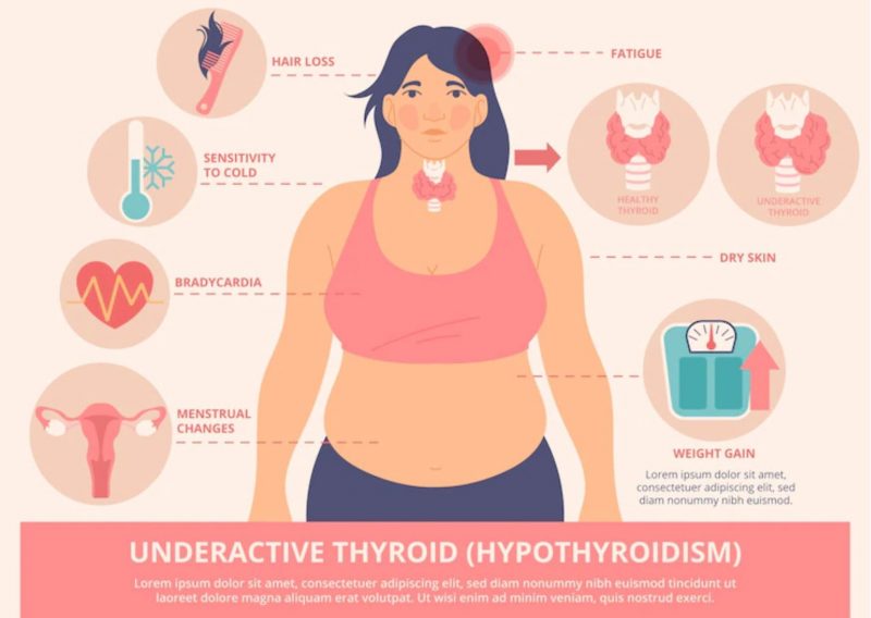 6 Vital Nutrients to Add to Everyday Thyroid Diet