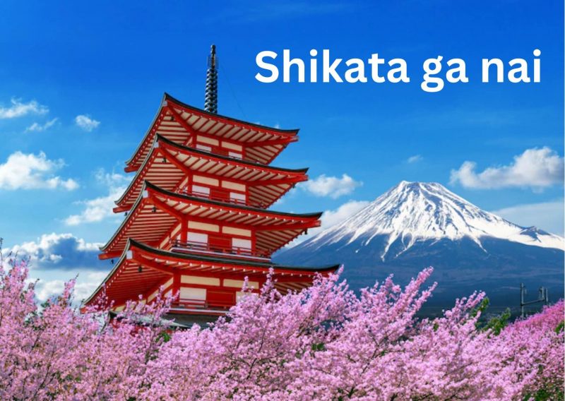 7 Japanese Concepts for a Happy Life: Shikata ga nai