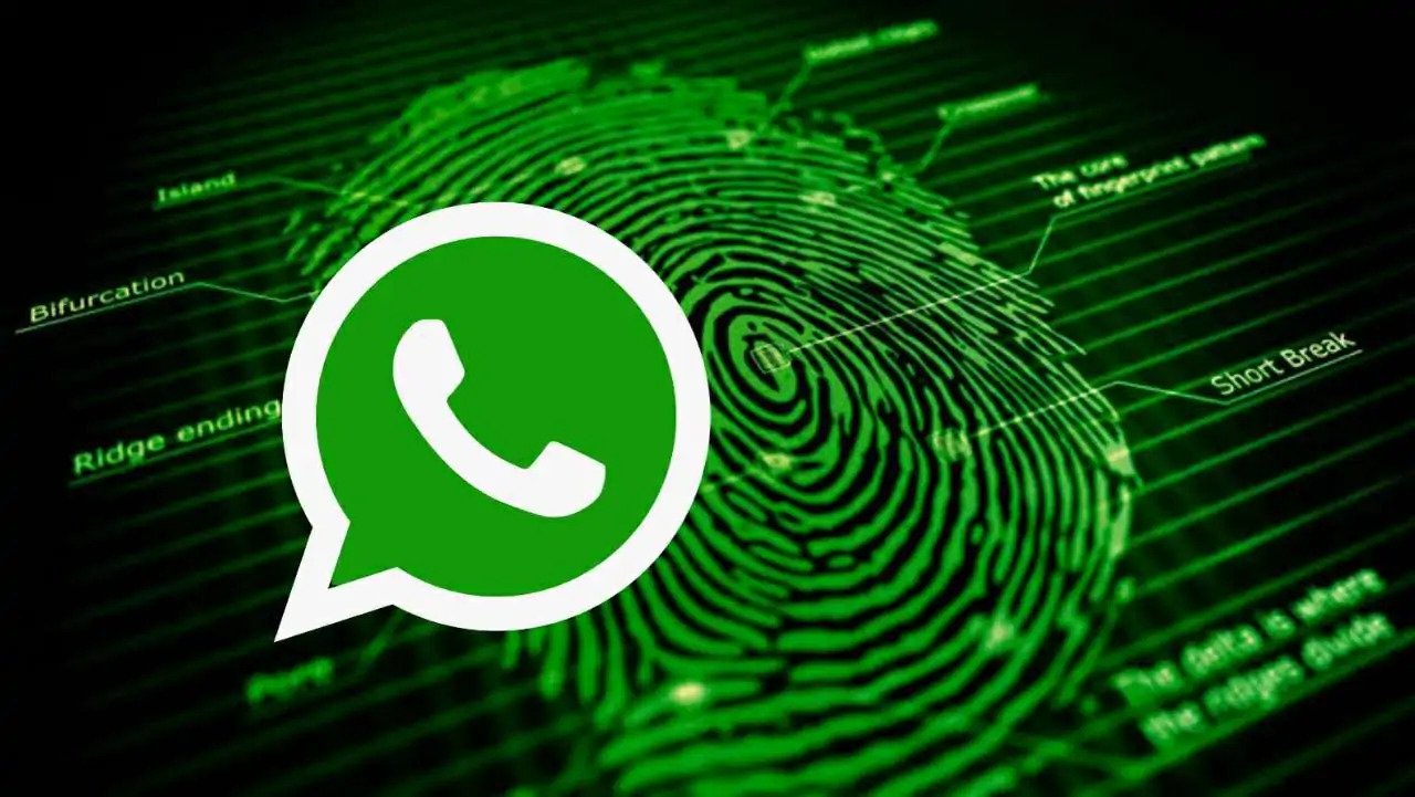 WhatsApp Update Transfer Data From Android To Android Without GDrive