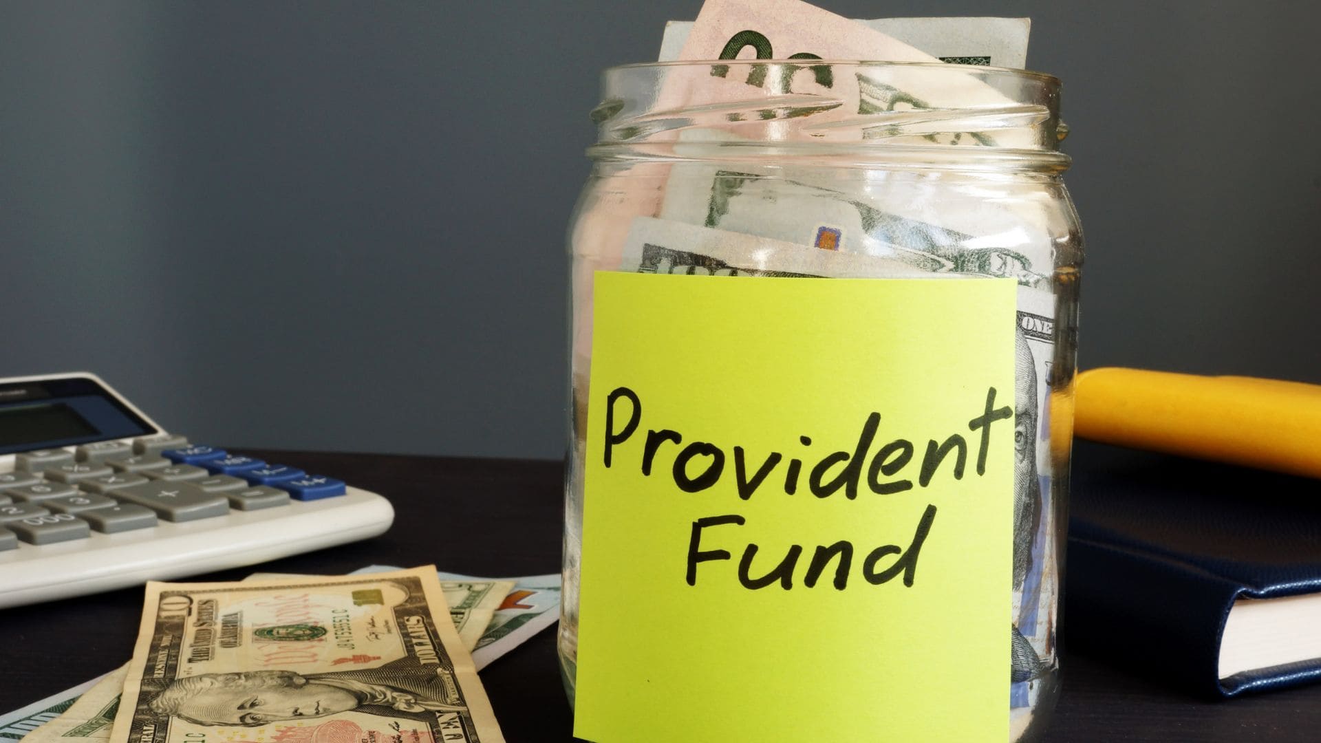 How to Maximize Interest on Public Provident Fund With VPF