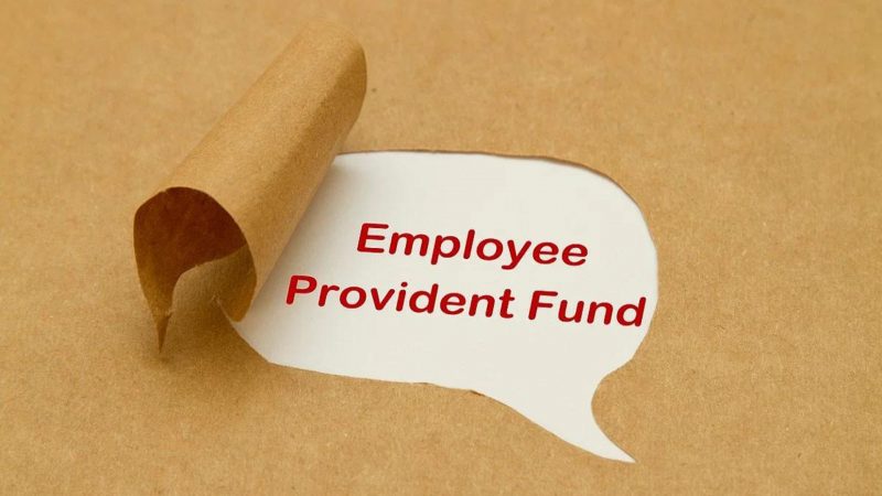 PF Contribution Delayed by Employer Heres What You Can Do