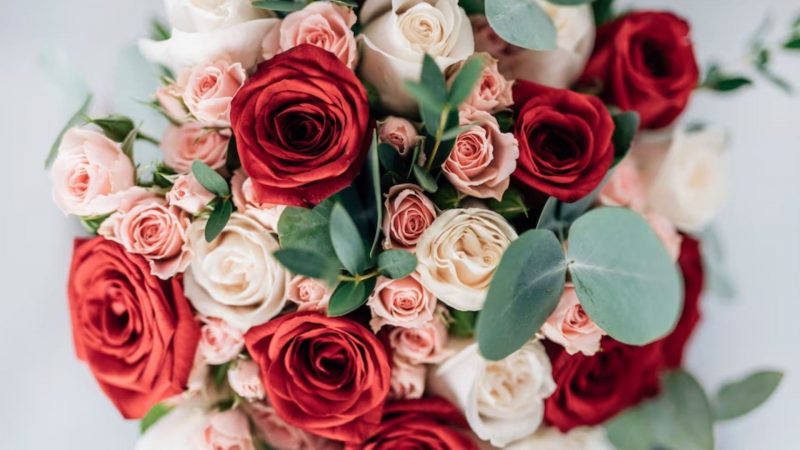 Valentine’s Day Week: Each Day Explained with Date: Rose Day