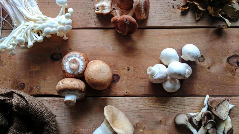 Selected Mushrooms for Vitamin D