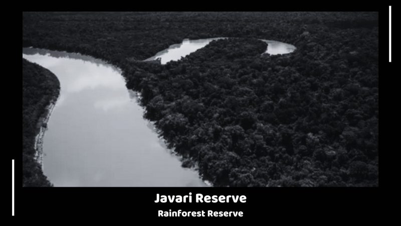 Javari Reserve - Rainforest Reserve