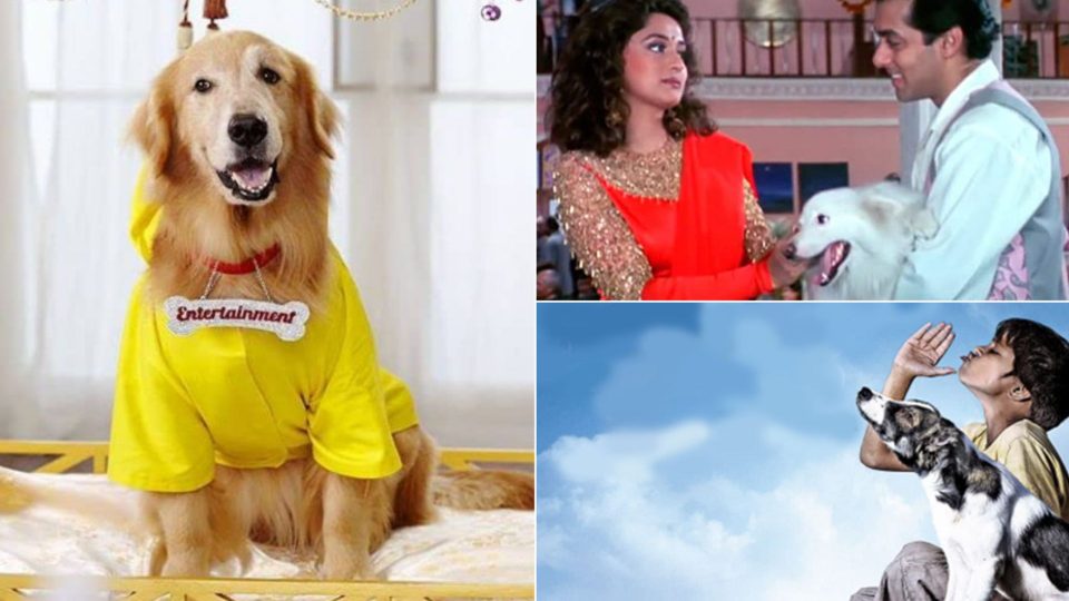 Dog breeds in Bollywood Movies