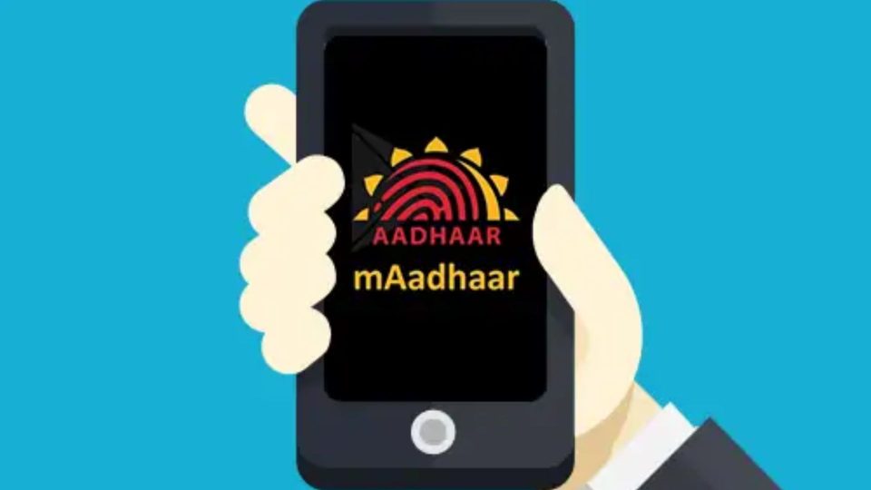 A Guide to Linking Family Members' Profiles on a Single Aadhaar