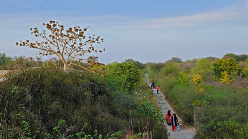 Aravalli Biodiversity Park