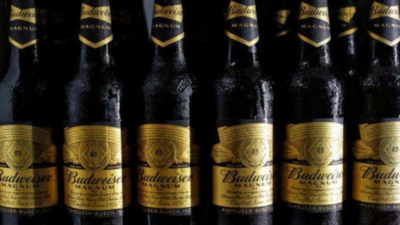Budweiser Magnum Beer - Beer Brands With High Alcohol Percentage