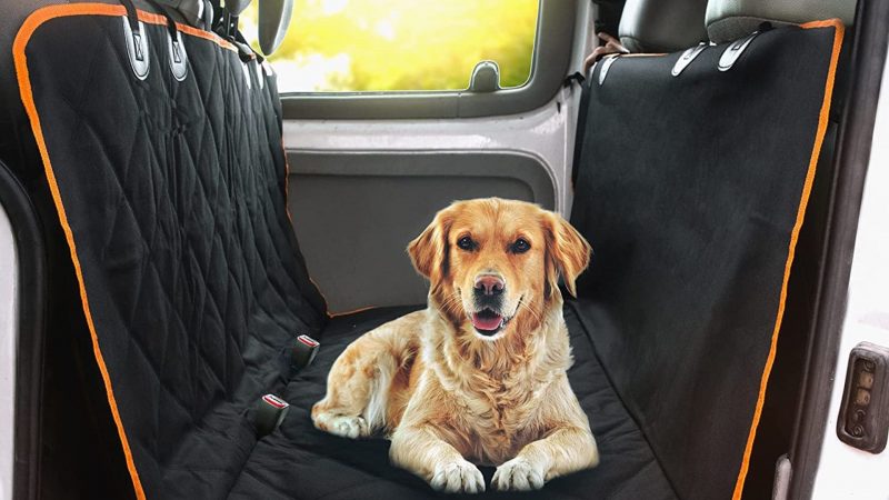 Car’s Back Seat Cover