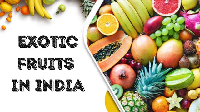 Exotic Fruits In India