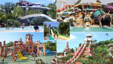 Explore India’s Best Waterparks With Ultimate Water Experience