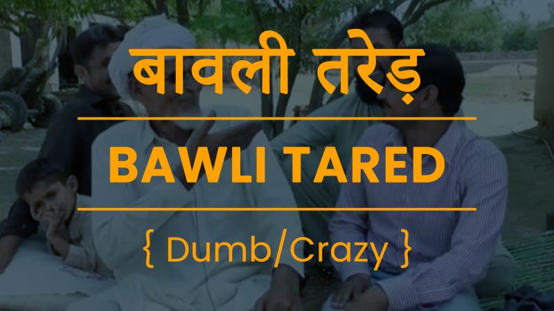 Haryanvi Slangs Bawali Tared Meaning