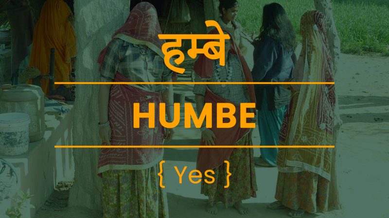 Haryanvi Slangs Hambe Meaning