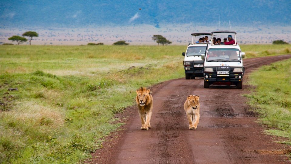 Indians Can Now Visit And Explore Masai Mara Safari Without A Visa