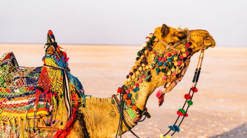 Jaisalmer Desert Festival