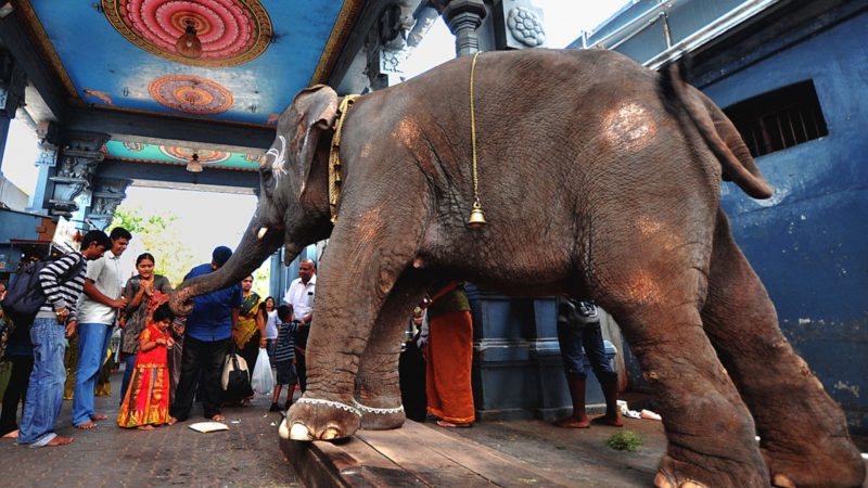 Manakula Vinayagar Temple, Pondicherry - Ancient Temples of Lord Ganesha