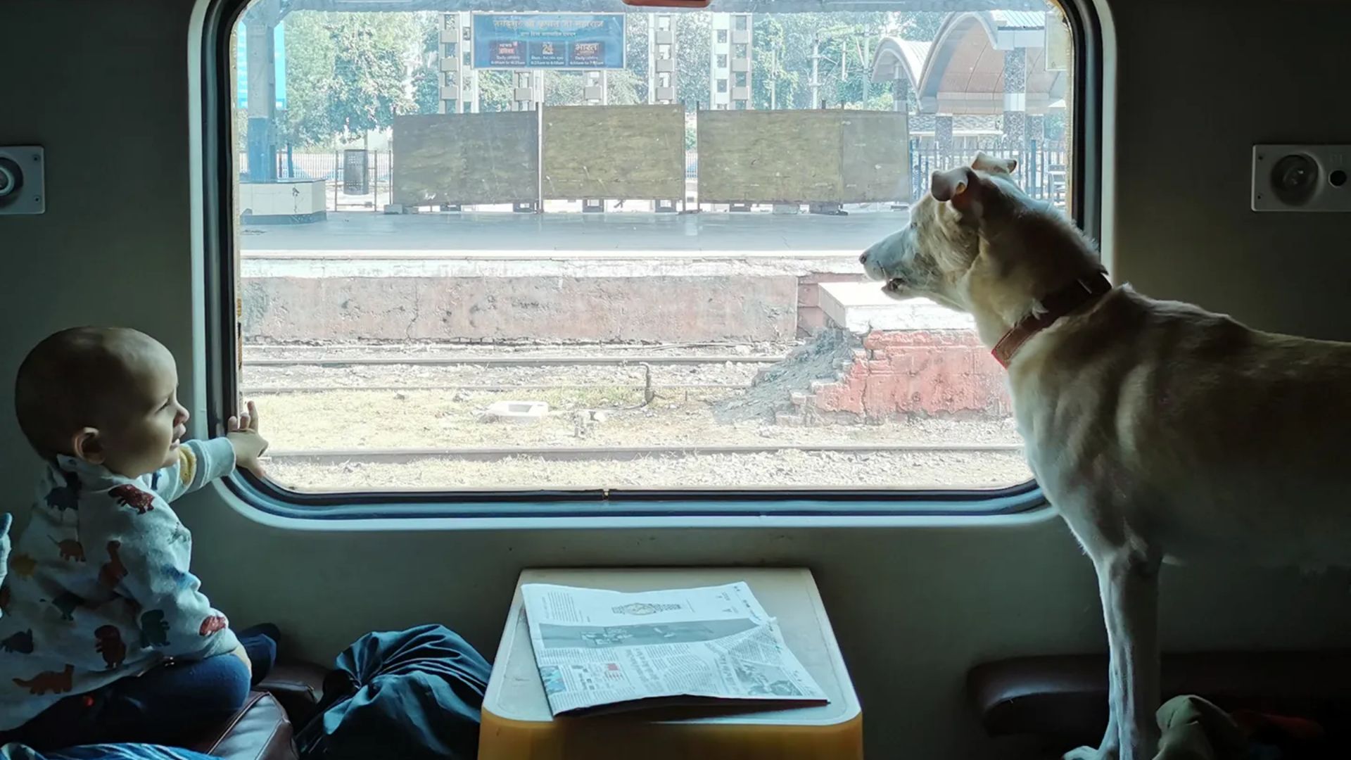 Good News For Pet Parents Indian Railways To Begin Online Bookings For