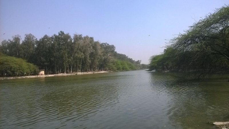 Sanjay Lake Park