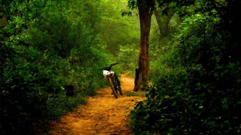 Sanjay Van, Vasant Kunj, New Delhi, Hidden Places in Delhi 