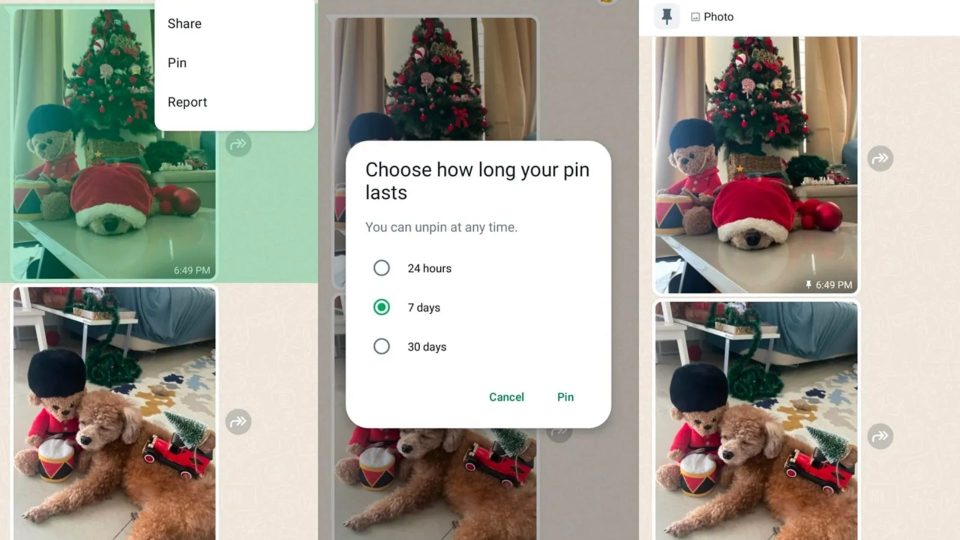 WhatsApp Introduces Message Pinning Feature In The Chat