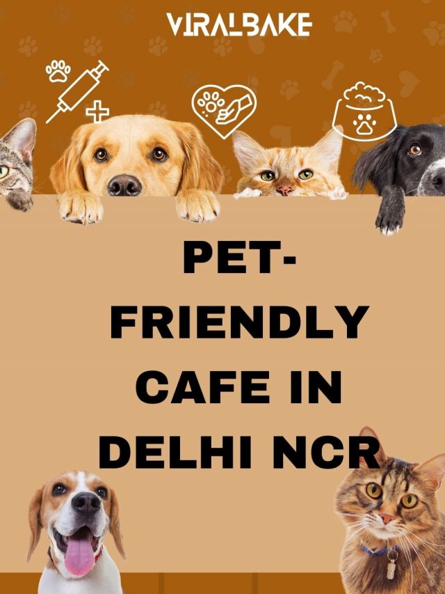 Pet-Friendly Cafes in Delhi NCR