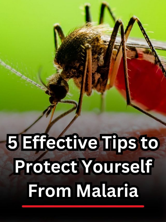 5 Effective Tips to Protect Yourself From Malaria