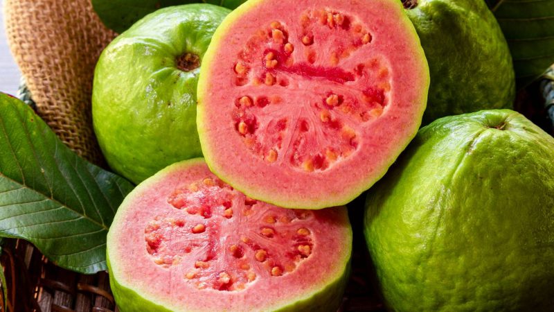 Guava 